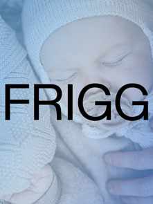 لوگو برند فریگ Frigg